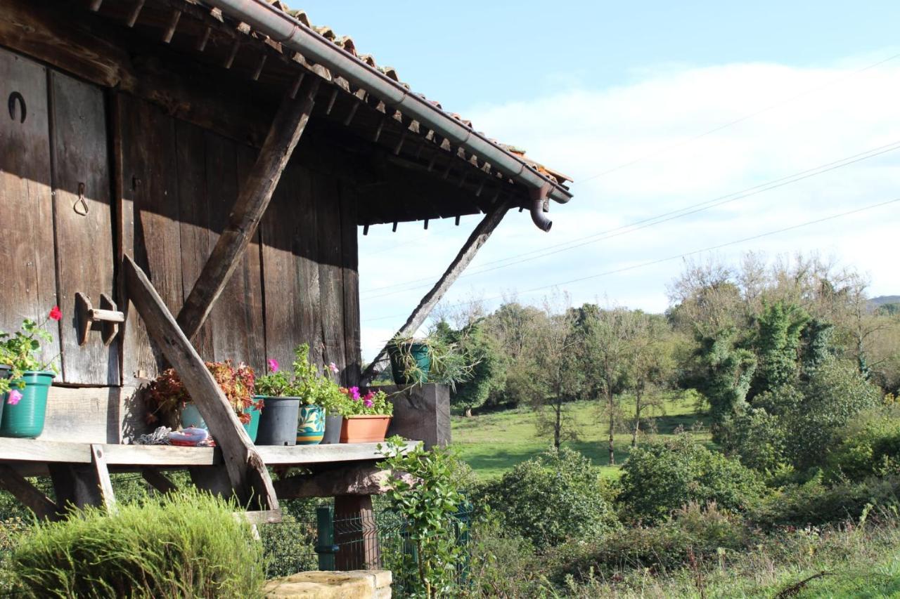 Penzion Casa Pepín - Sagasta Rural Oviedo Exteriér fotografie