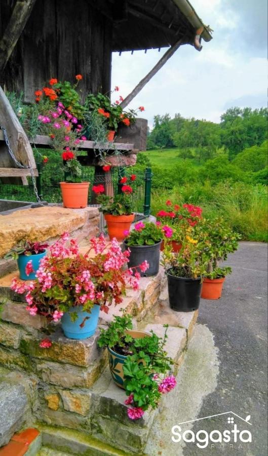 Penzion Casa Pepín - Sagasta Rural Oviedo Exteriér fotografie